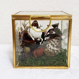Taxidermy Butterfly and Rose Glass Display Small Box Gift Strange Oddities